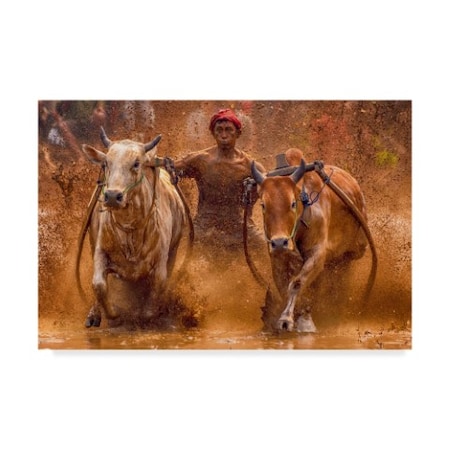 Media Hendriko 'The Red Hat Bulls' Canvas Art,30x47